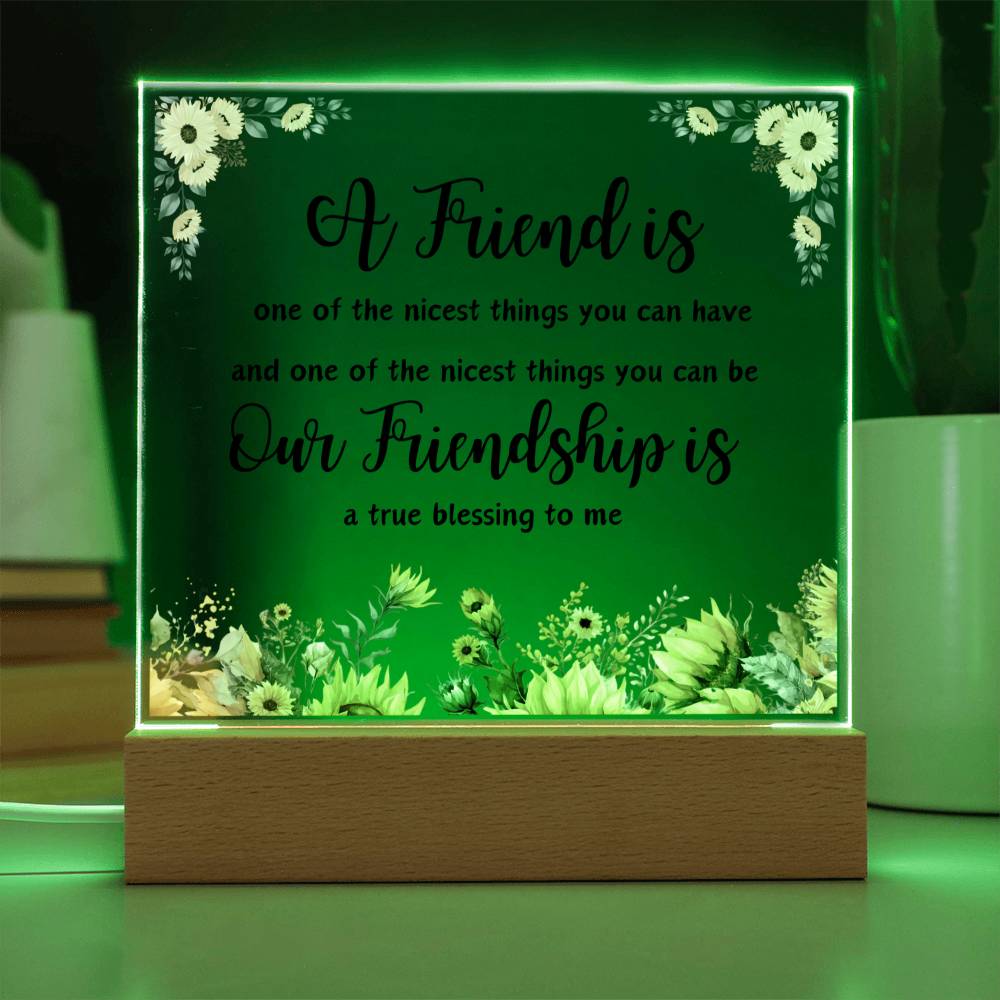 A Friend is One of the Nicest Things You Can Have | Square Acrylic Plaque!