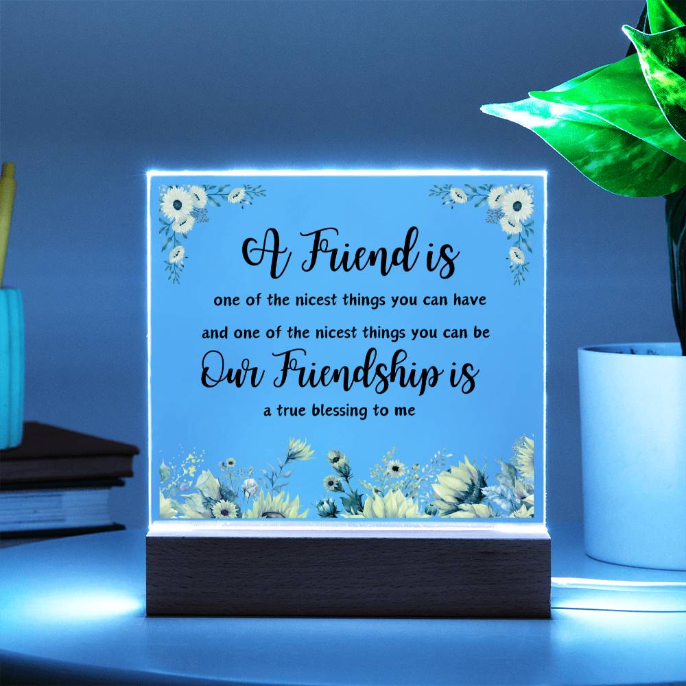 A Friend is One of the Nicest Things You Can Have | Square Acrylic Plaque!