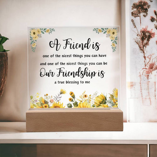 A Friend is One of the Nicest Things You Can Have | Square Acrylic Plaque!